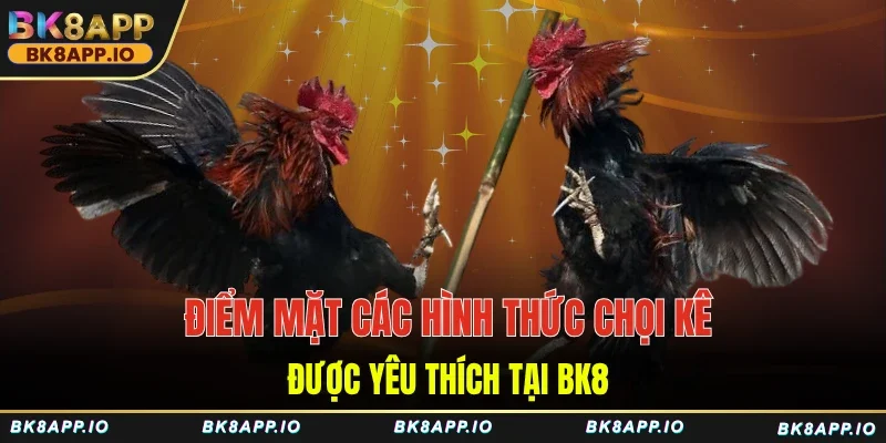 Điểm mặt các hình thức chọi kê được yêu thích tại BK8