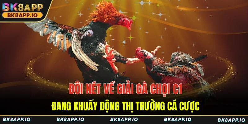 Đôi nét về giải gà chọi C1 đang khuấy động thị trường cá cược