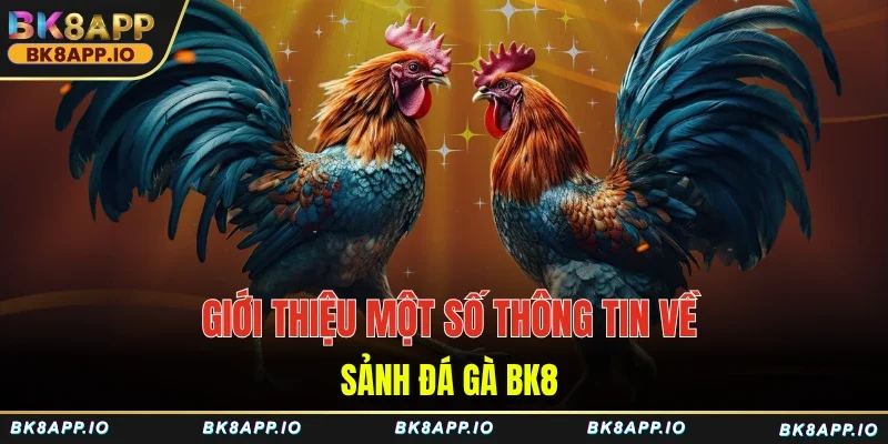 Giới thiệu một số thông tin về sảnh đá gà BK8