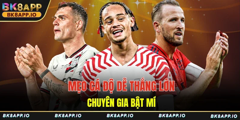 Mẹo cá độ dễ thắng lớn chuyên gia bật mí